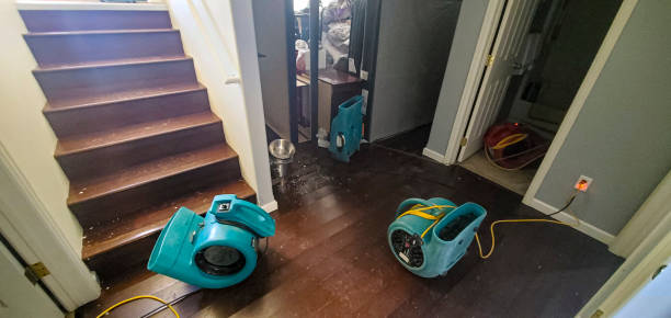 Best 24-hour water damage restoration  in Maryvle, IL