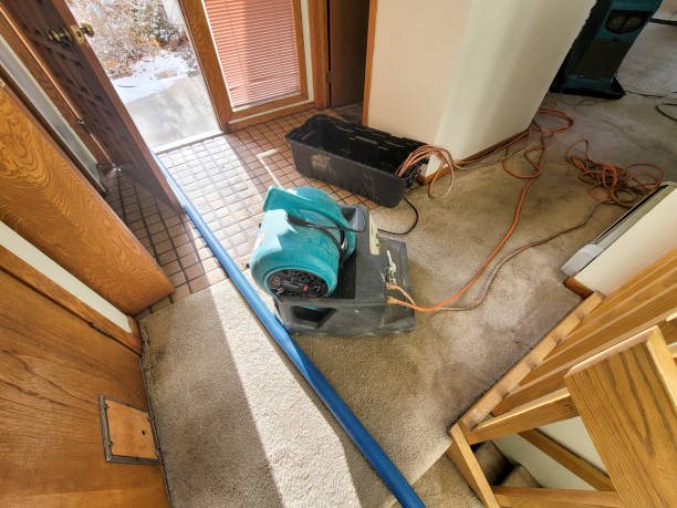 Best Flooded house restoration  in Maryvle, IL