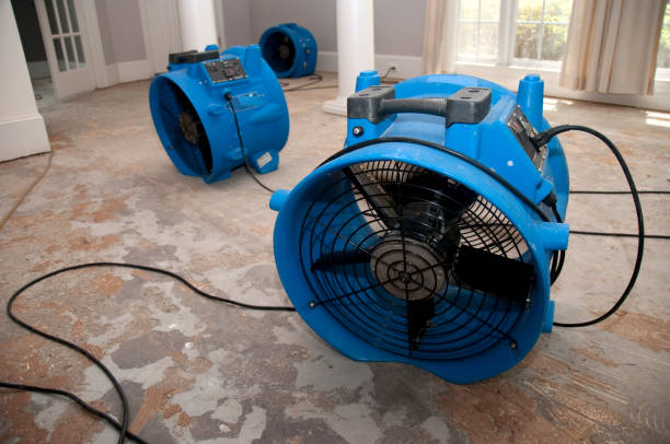 Best Fire Damage Restoration  in Maryvle, IL