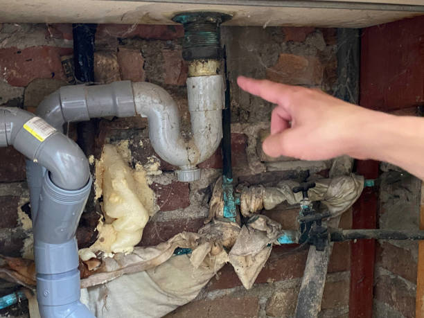Best Ceiling water damage repair  in Maryvle, IL