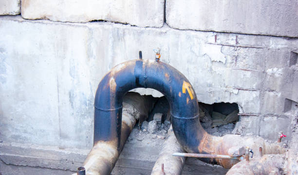 Best Water damage restoration near me  in Maryvle, IL